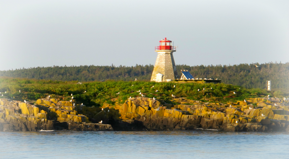 SAIL²: Save An Island Lighthouse – Peter’s Island Light: « Pillar of the Passage »